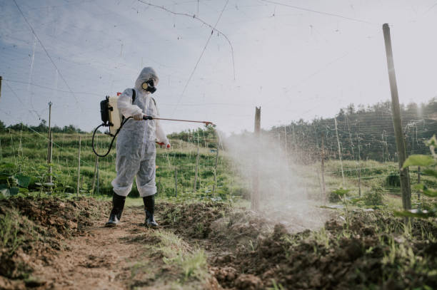 Best Pest Removal Services  in Creston, IA