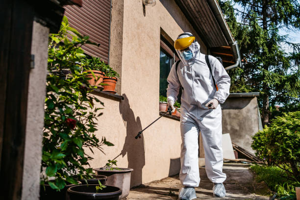 Best Bed Bug Extermination  in Creston, IA