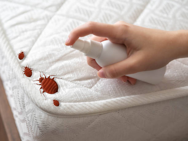Best Residential Pest Control  in Creston, IA