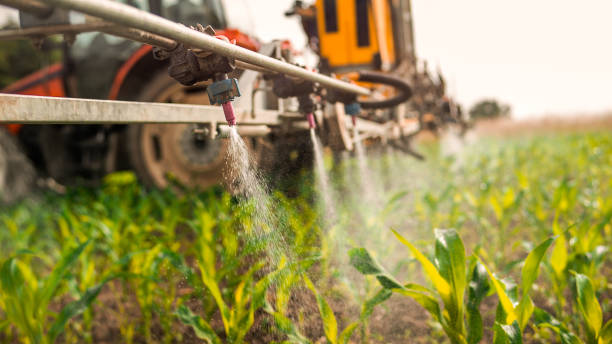 Best Pest Prevention Services  in Creston, IA