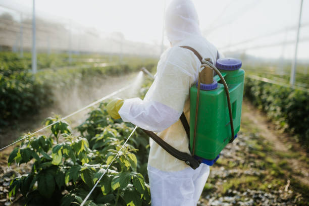 Best Best Pest Control Companies  in Creston, IA